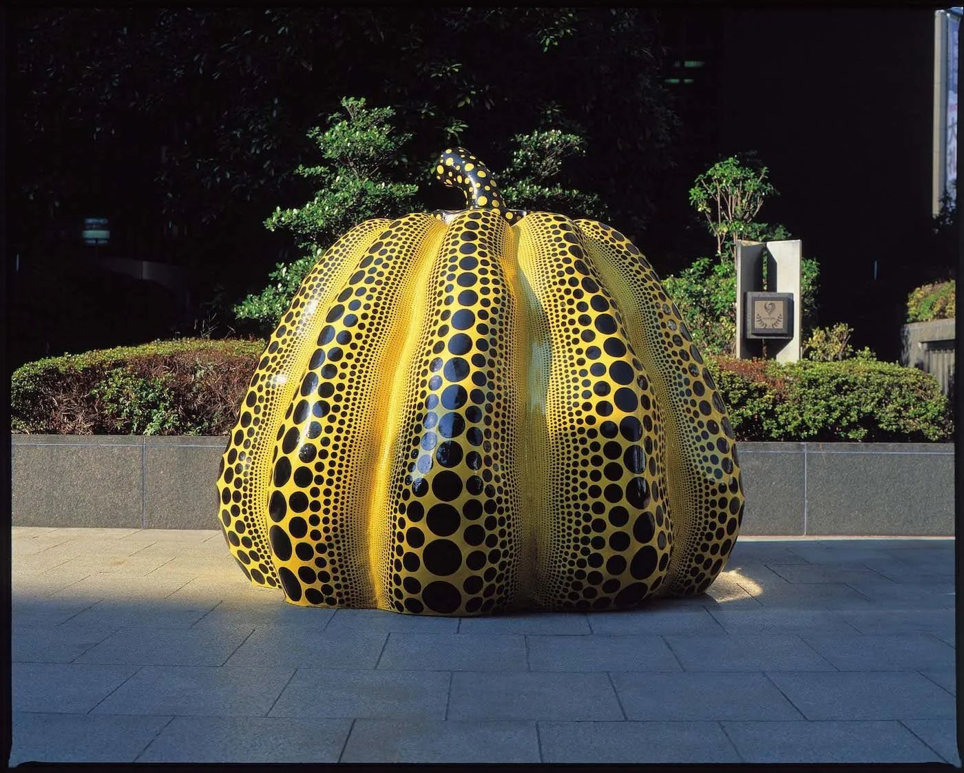 🎨 후쿠오카 시립 미술관 이미지 7